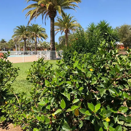Tc Melocotones 15 Campsite Maspalomas (Gran Canaria)